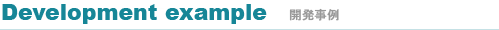 開発事例 開発事例