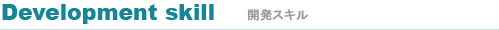 開発スキル 開発スキル